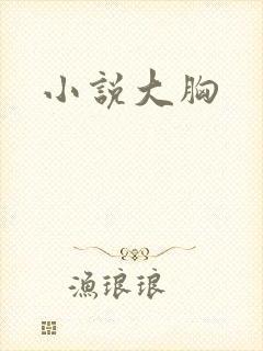 小说大胸封面