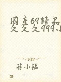 国产69精品久久久久999小说封面