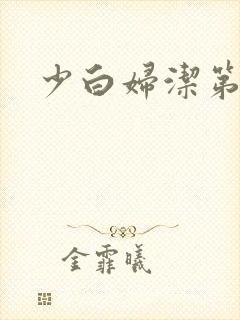 少白妇洁第二部封面