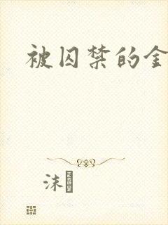 被囚禁的金丝雀