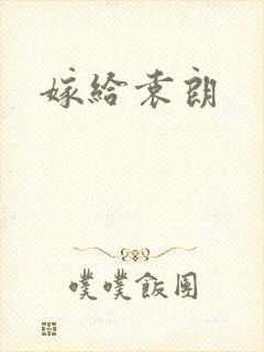 嫁给袁朗