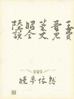 陆昭菱晋王的小说全文免费阅读