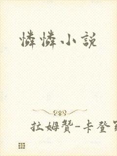 怜怜小说封面