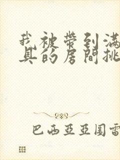 我被带到满是玩具的房间挑调游戏