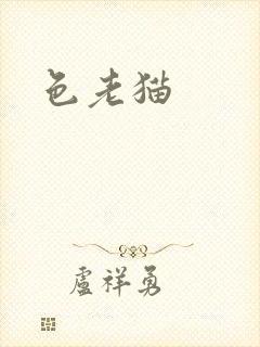 色老猫封面