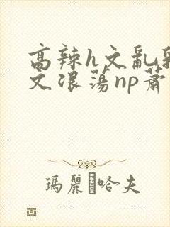 高辣h文乱乳h文浪荡np萧太后
