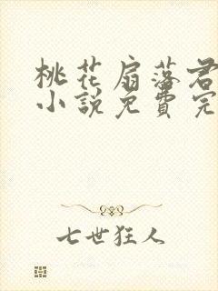 桃花扇落君不还小说免费完整版