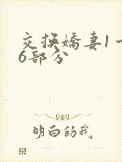 交换娇妻1一36部分