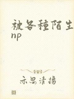 被各种陌生人 np