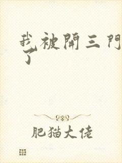 我被开三门痛晕了封面