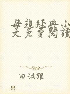 母亲经典小说全文免费阅读封面