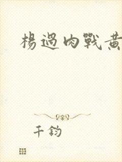 杨过肉战黄蓉