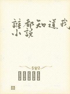 谁都知道我爱你小说