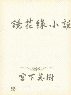 镜花缘小说封面