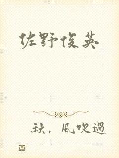 佐野俊英封面