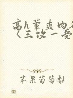 高h荤爽肉欲文〈三攻一受〉视频