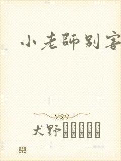 小老师别害羞封面