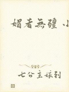 媚者无疆 小说封面