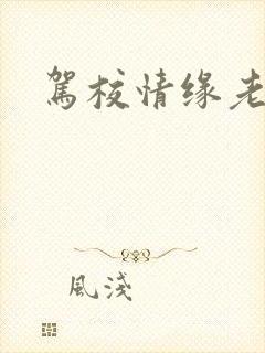 驾校情缘老赵