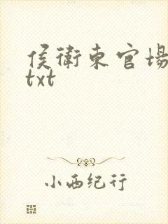 侯卫东官场笔记txt