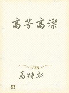 高芳高洁封面