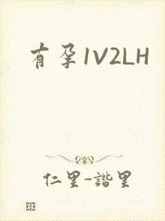 有孕1V2LH