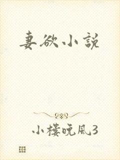 妻欲小说