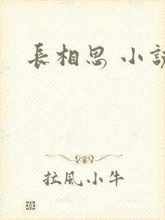 长相思 小说