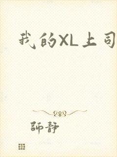 我的XL上司封面