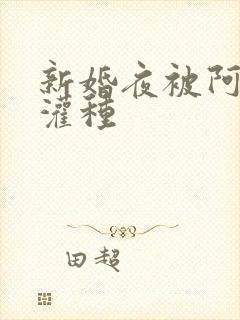 新婚夜被阿龟强灌种封面