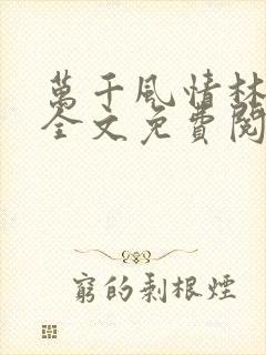 万千风情林小涛全文免费阅读