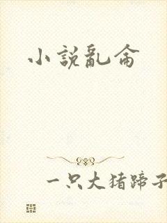 小说乱仑