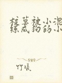 校草被小混混训练成狗的小说