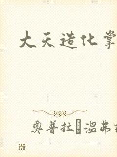 大天造化掌