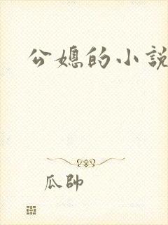 公媳的小说封面
