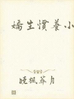 娇生惯养小说
