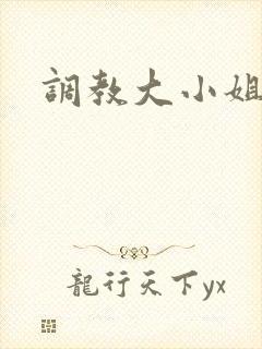 调教大小姐封面