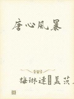 唐心风暴