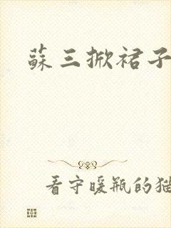 苏三掀裙子封面