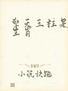 擎天玉柱是什么生肖