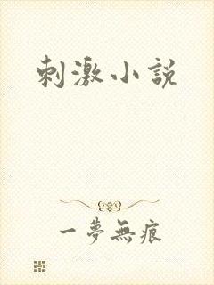 刺激小说