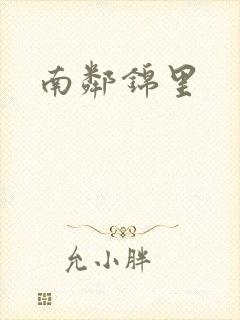 南邻锦里封面