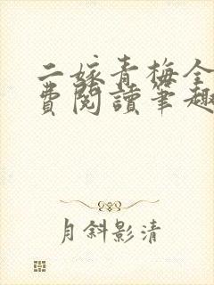 二嫁青梅全文免费阅读笔趣阁