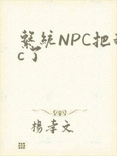 系统NPC把我c了