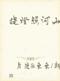 提灯照河山封面