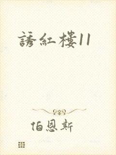 诱红楼11
