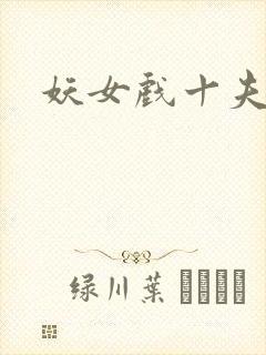 妖女戏十夫封面