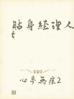 贴身经理人txt封面
