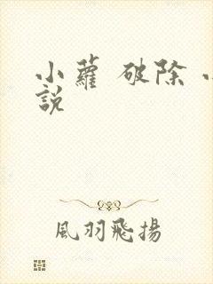小萝 破除 小说