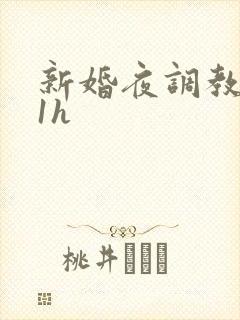 新婚夜调教1v1h